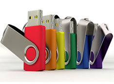SW Factory Direct Flash Drive